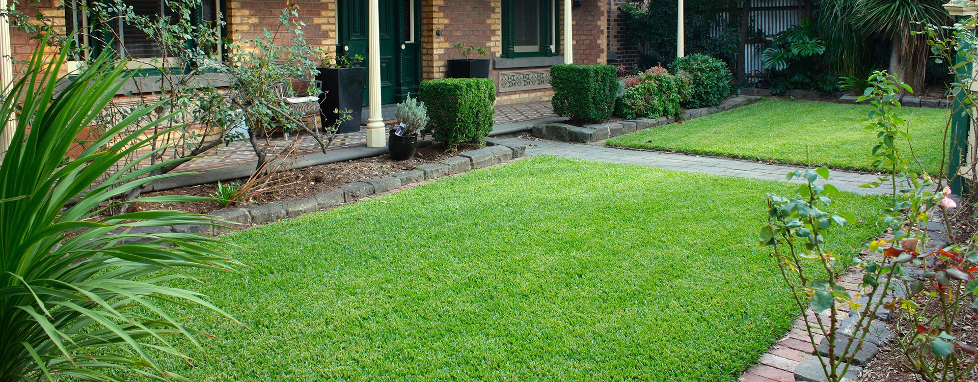 9 Tips on How To Choose The Right Grass For Your Lawn