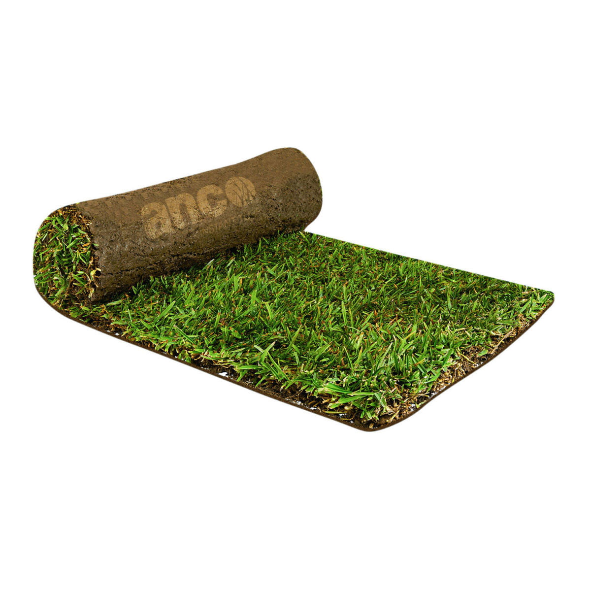 Sir Walter DNA Certified Turf – Why When Where