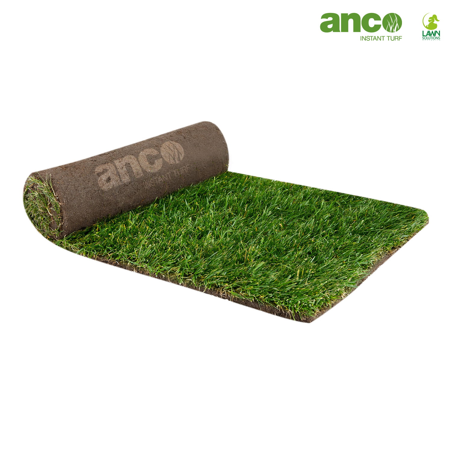 RTF-Tall-Fescue product