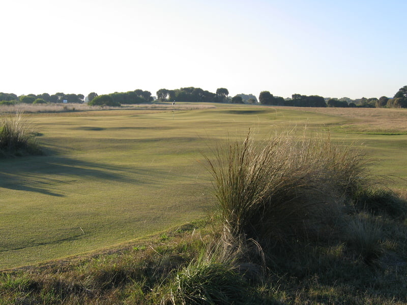 Melbourne Instant Grass