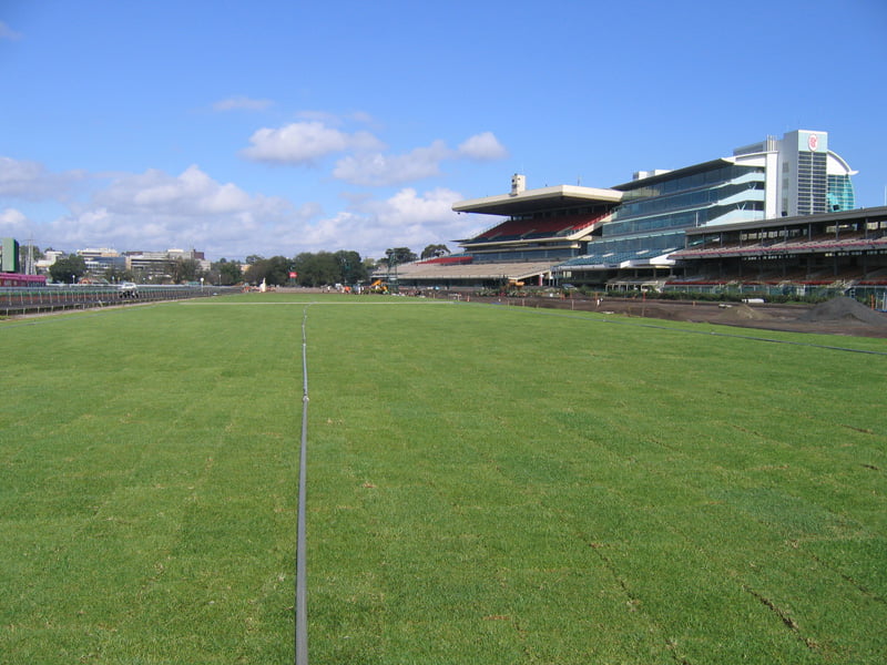 Instant Turf in Melbourne