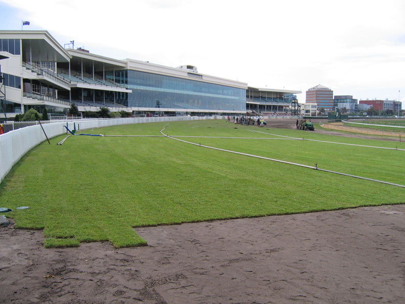 Instant Lawn Geelong