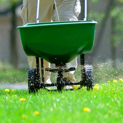 When Should You Fertilize Your Lawn?