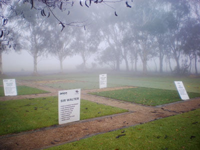 5 Tips on How to Protect Grass in Winter