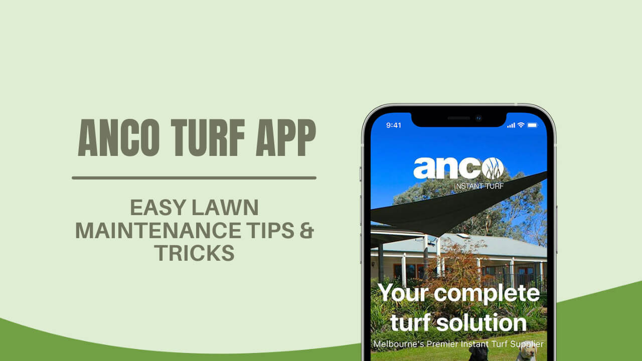 Easy Lawn Maintenance Tips & Tricks Using The Anco Turf App