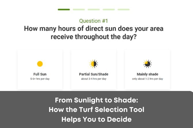 From Sunlight to Shade: How the Turf Selection Tool Helps You to Decide