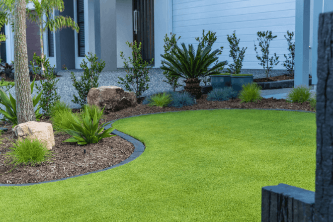 The Pros and Cons of Kikuyu Grass: Is It Right for Your Yard?