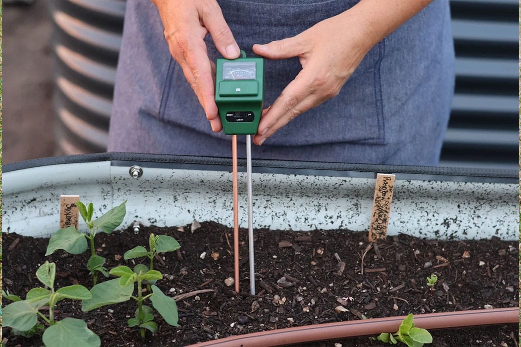 Is Your Lawn Winter-Ready? 7 Signs You Need a Turf Upgrade???