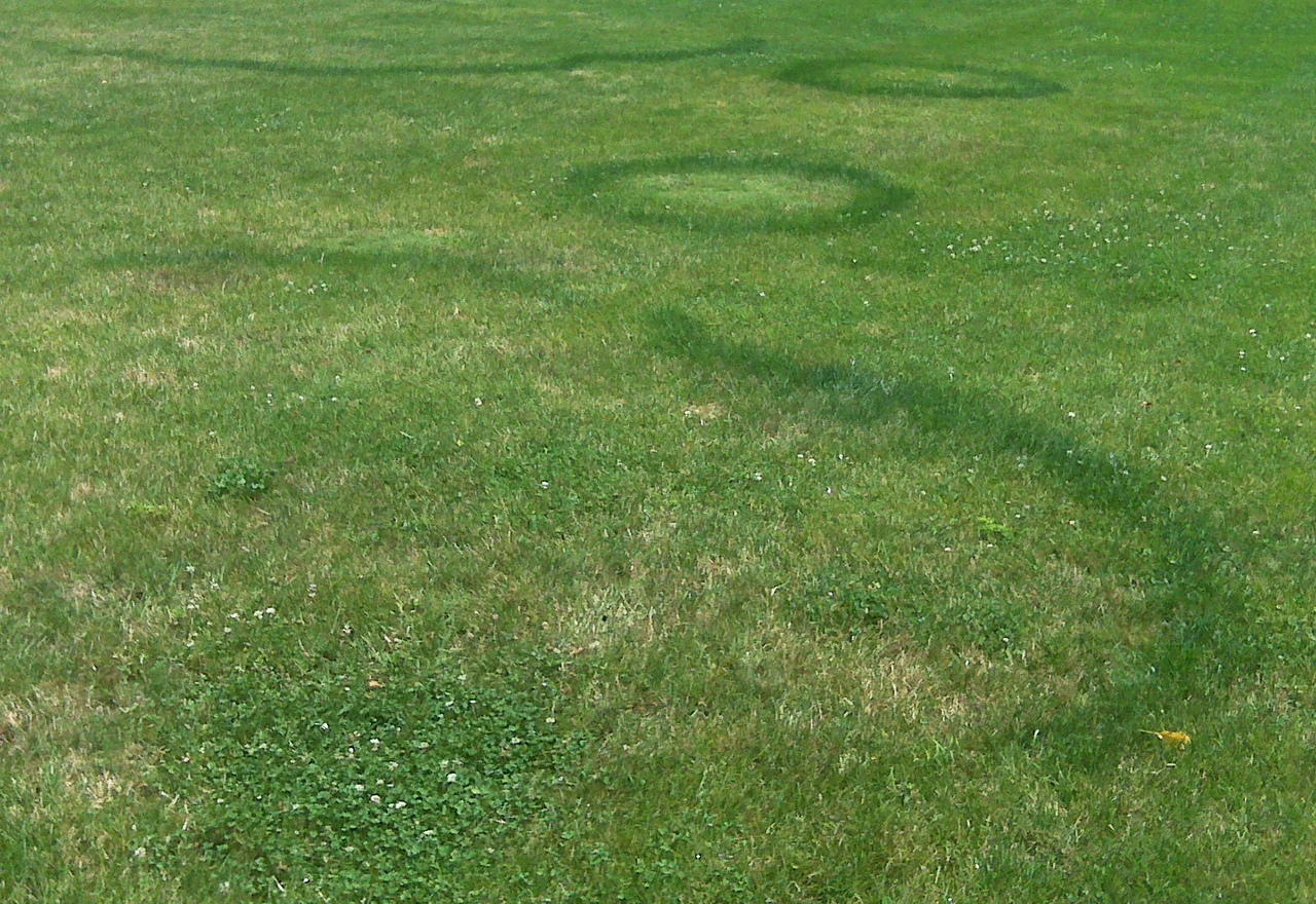 Fairy Ring