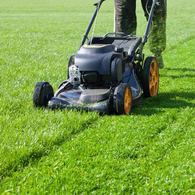 MOWING 