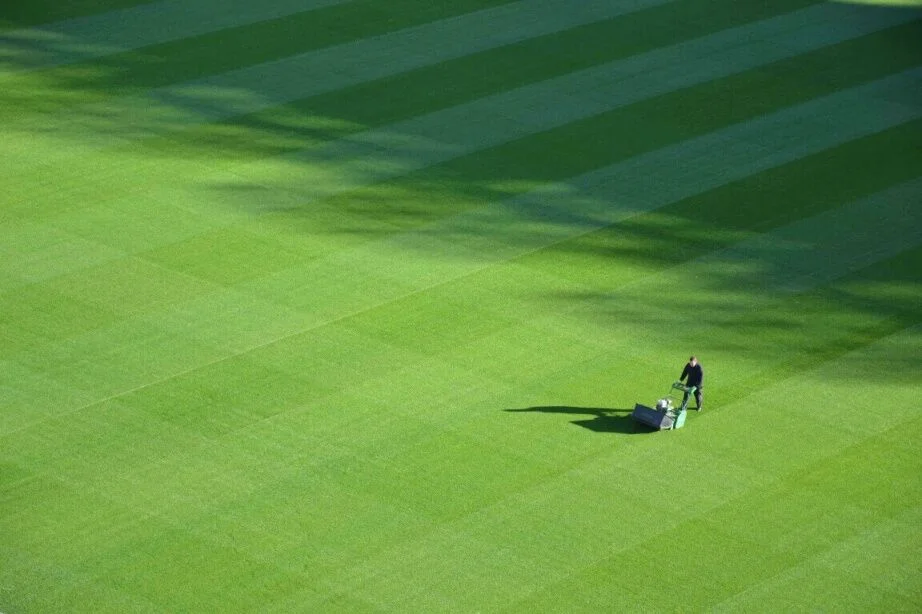WHAT IS LAWN FERTILISER?  