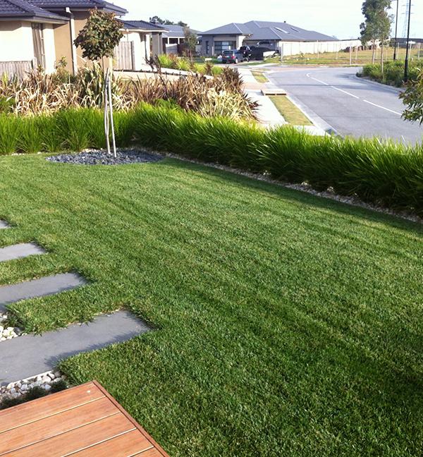 WHY FERTILISE YOUR LAWN?