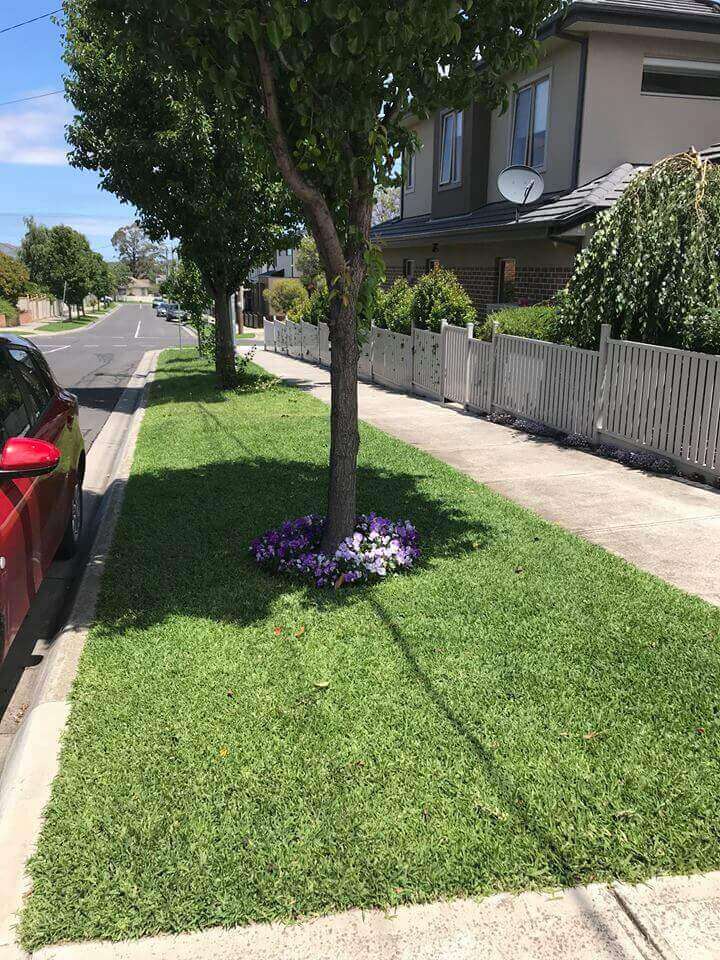 WHEN TO FERTILISE YOUR LAWN?
