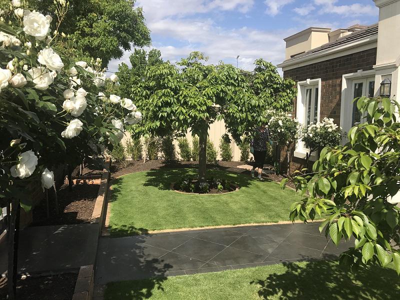 WHAT IS THE BEST FERTILISER FOR LAWNS?