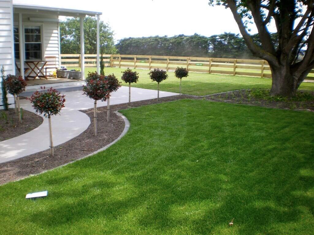 FERTILISE AFTER LAYING TURF