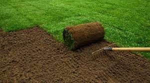 Lawn Tip