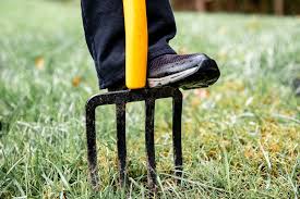 Lawn Tip
