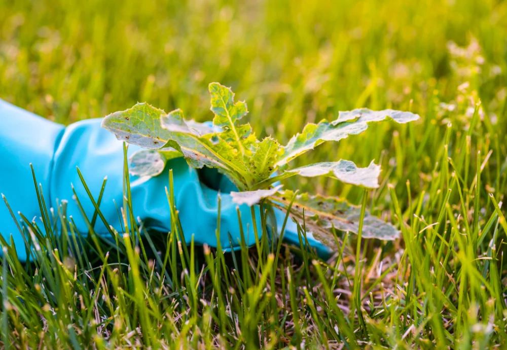 Lawn Tip