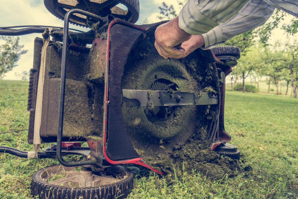 Lawn Tip