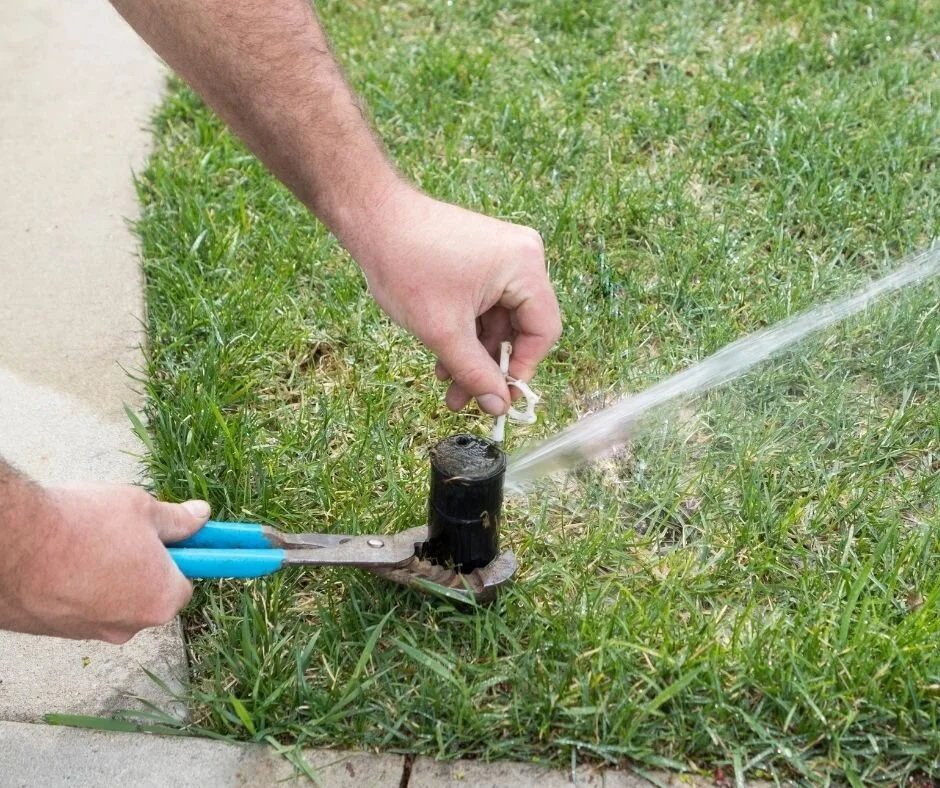 Lawn Tip